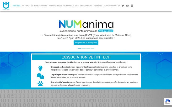 Screenshot of vet-in-tech.com