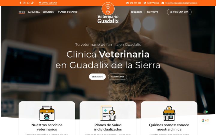 Screenshot του veterinarioguadalix.es