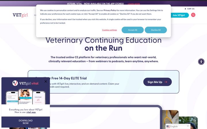 Screenshot of vetgirlontherun.com