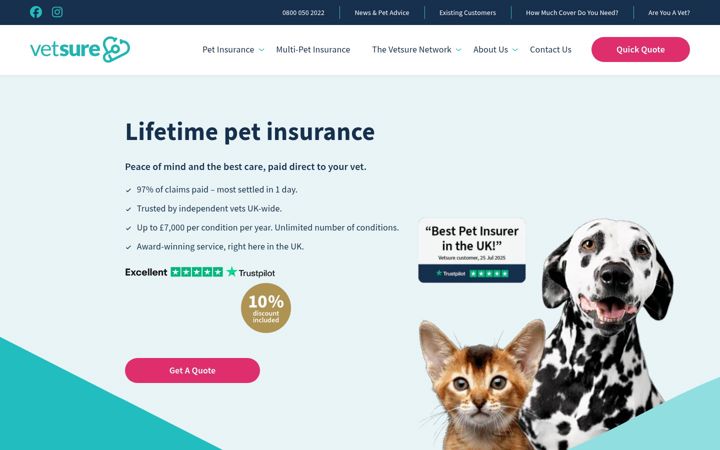 Ekrano kopija vetsure.com