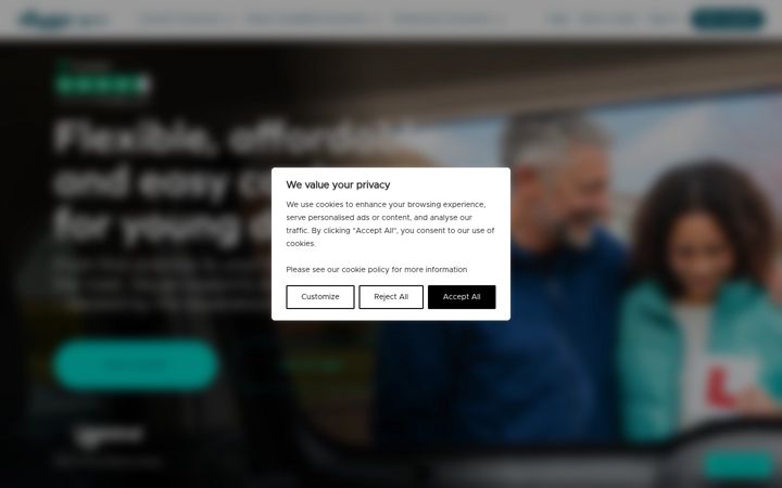 Screenshot of veygo.com