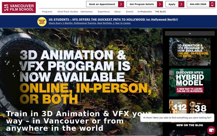 Screenshot von vfs.edu