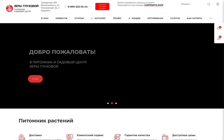 Snimka zaslona za vgluhova.ru