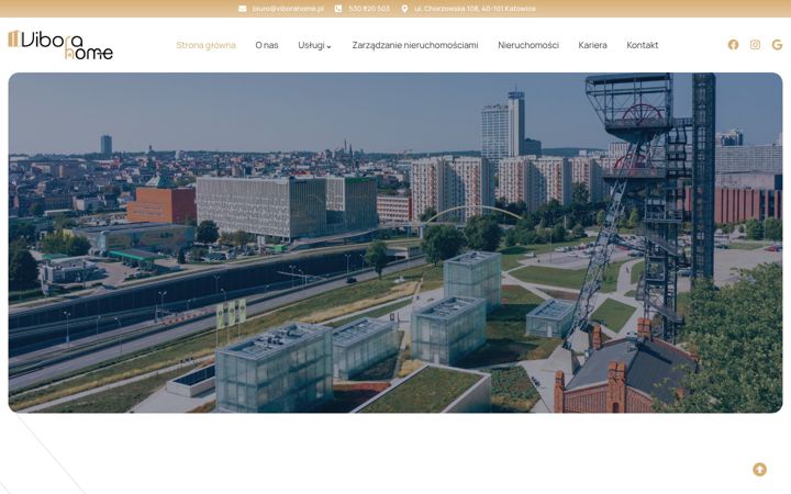 Screenshot ta' viborahome.pl
