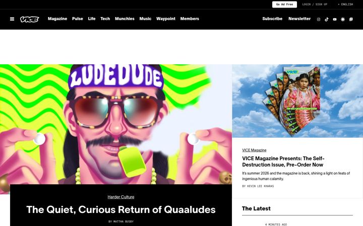 Screenshot ta' vice.com