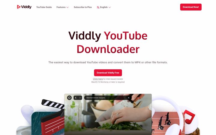 Screenshot of viddly.net