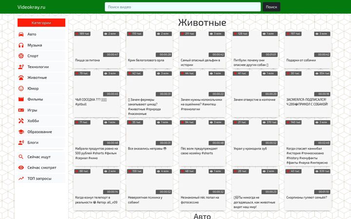 Skjámynd af videokray.ru