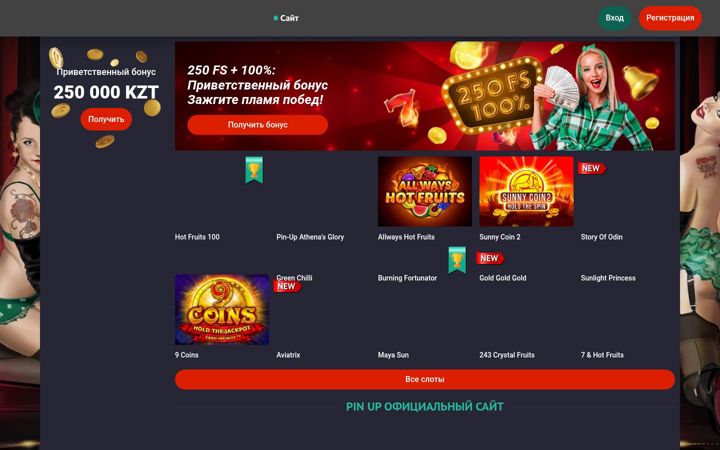 Screenshot of videopasport.ru