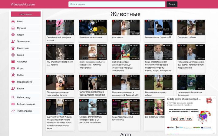 Screenshot of videosashka.com