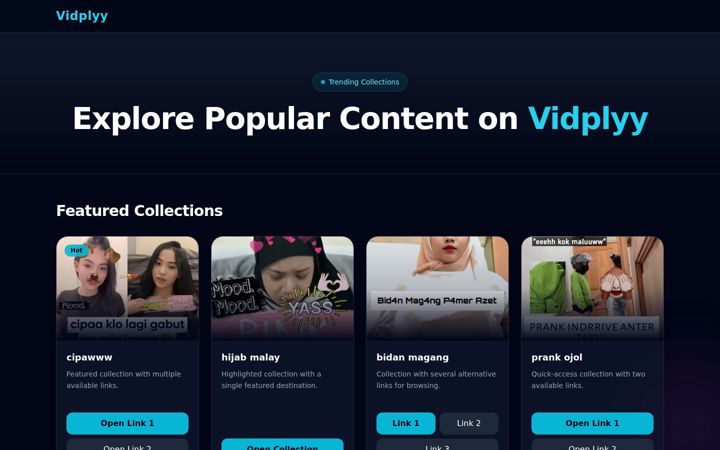 vidplyy.site