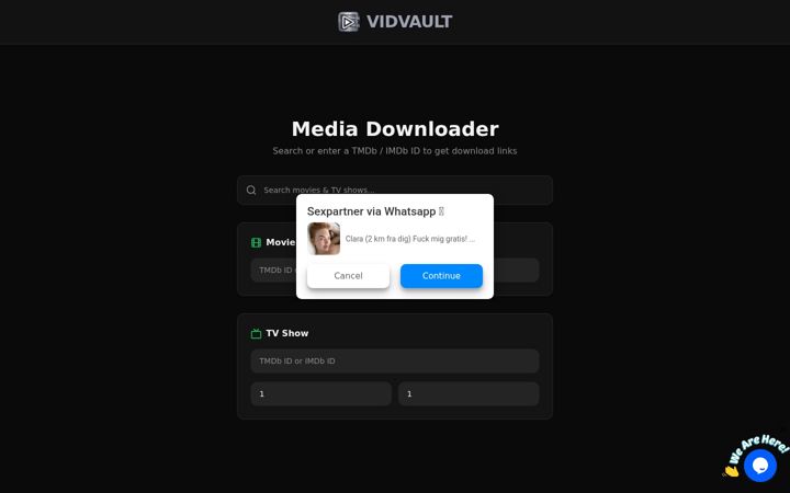 Screenshot of vidvault.ru