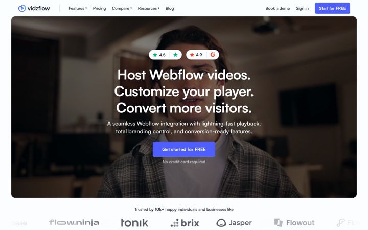 Screenshot of vidzflow.com