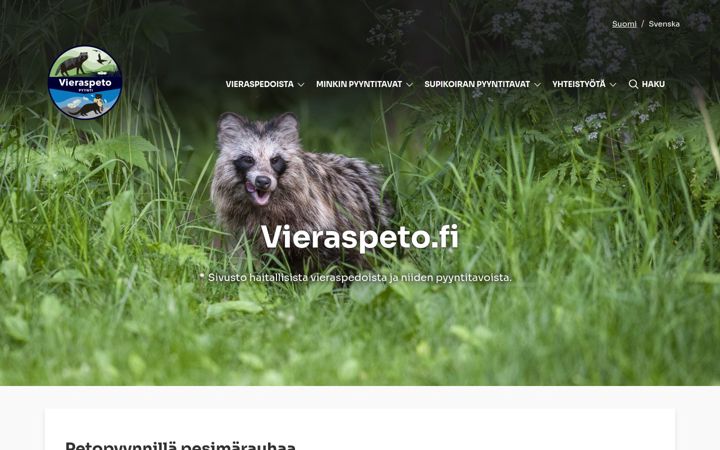 Screenshot of vieraspeto.fi