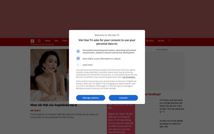 Screenshot of vietgiaitri.com
