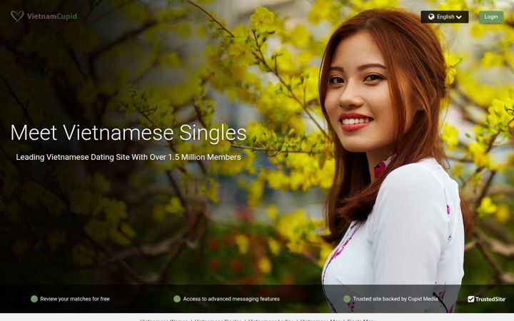 Screenshot of vietnamcupid.com