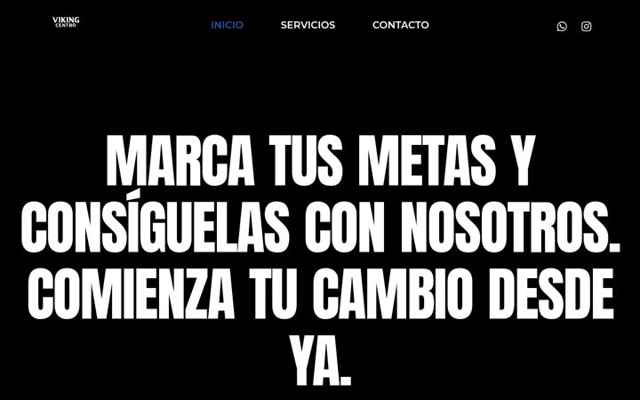 Screenshot ta' vikingcentro.com