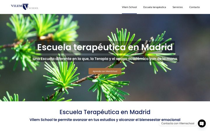 Screenshot of vilemschool.es