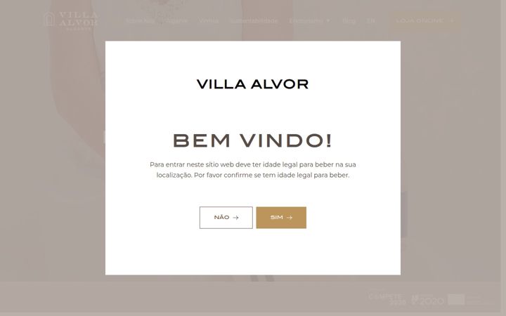 Screenshot of villaalvor.pt