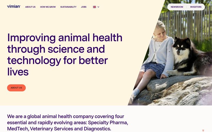 Screenshot of vimian.com
