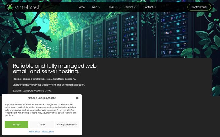 Screenshot of vinehost.net