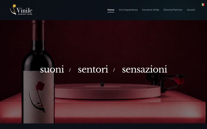 Screenshot of vinileambientwine.com