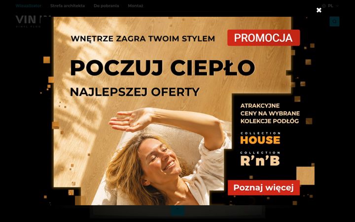 Screenshot of vinin.pl