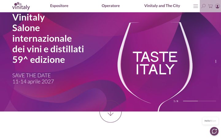 Screenshot of vinitaly.com