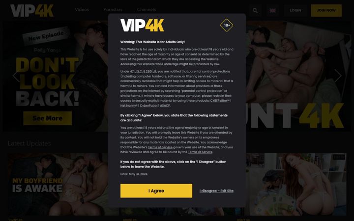 Screenshot of vip4k.com