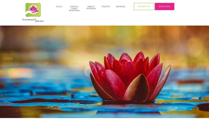 Kuvakaappaus sivustosta visionary-heart.com