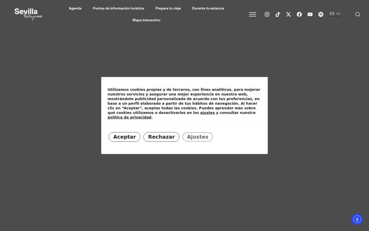 Screenshot ta' visitasevilla.es