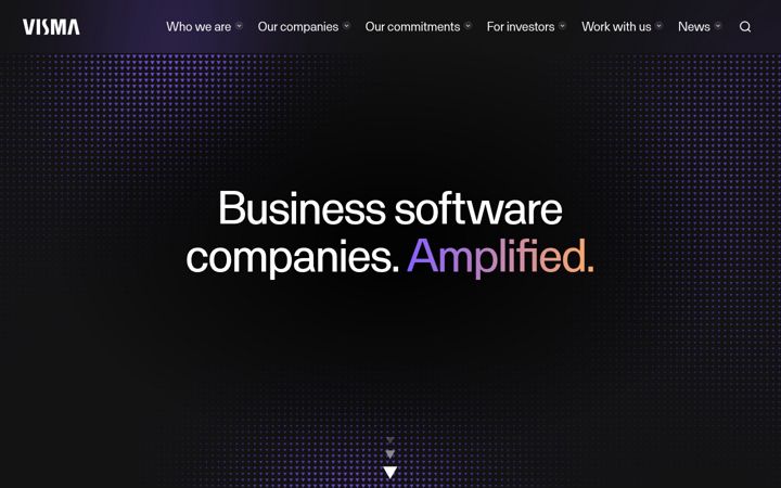 Screenshot of visma.lv