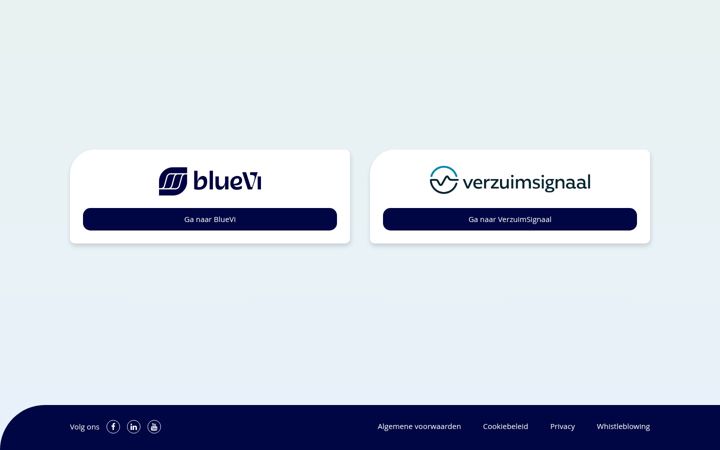 Screenshot of vismaverzuim.com