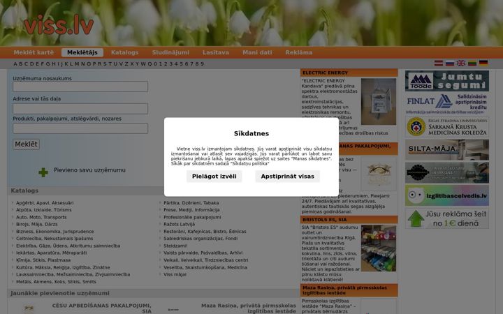 Screenshot of viss.lv