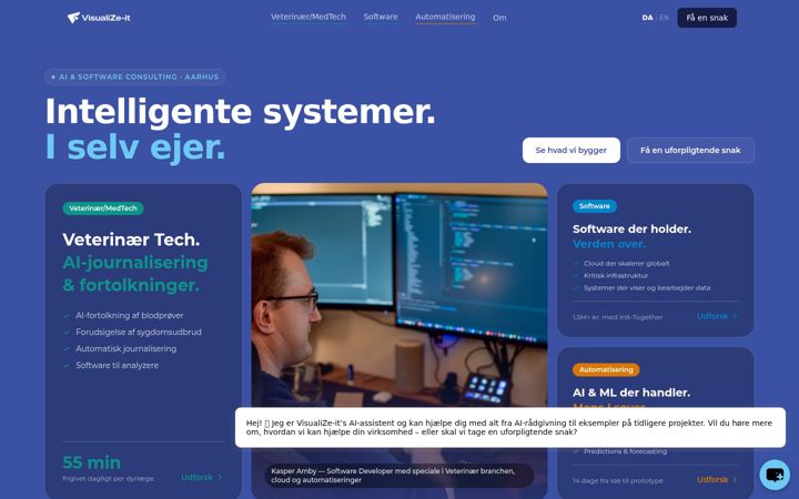 Ekrānuzņēmums no visualize-it.ai