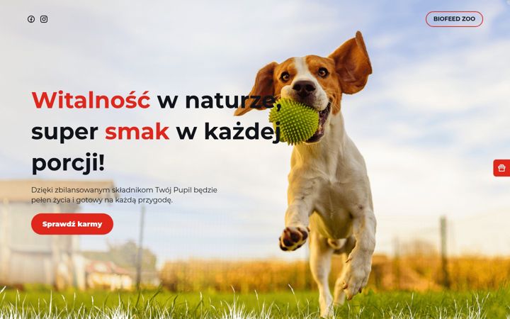Screenshot of vitalfitpetfood.pl