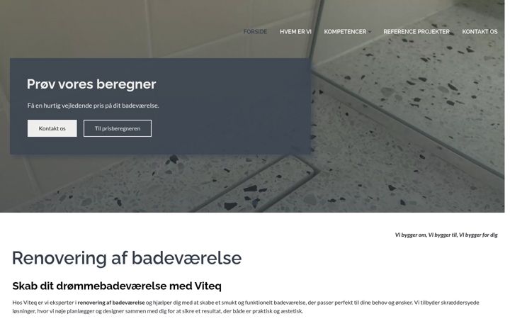 Screenshot of viteq.dk