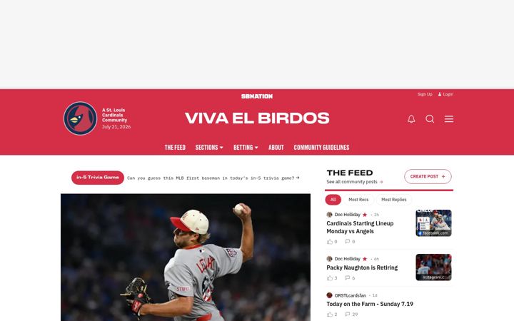 Screenshot of vivaelbirdos.com