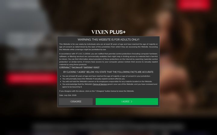 Screenshot of vixenplus.com