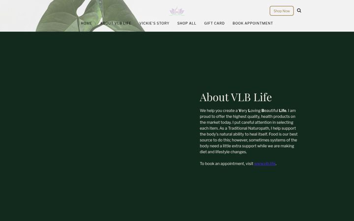 Screenshot of vlb-life.square.site