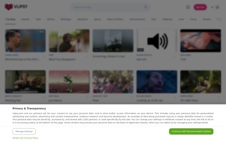 Screenshot of vlipsy.com