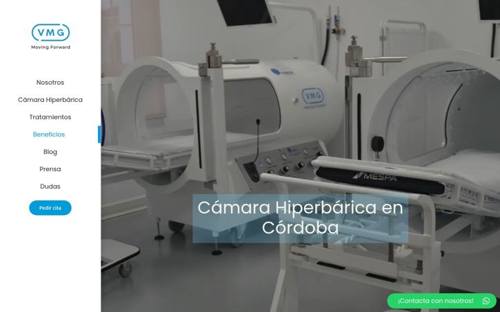 Skærmbillede af vmgsalud.com