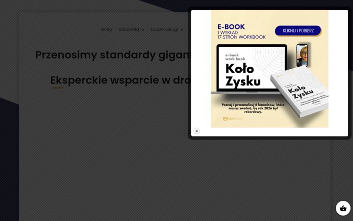 Screenshot von vmstudio.pl