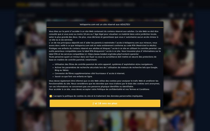 Screenshot of voilaporno.com