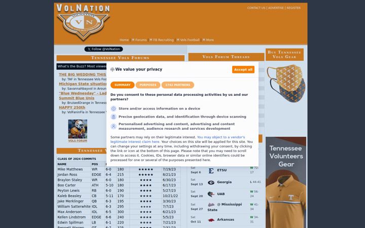 Képernyőkép: volnation.com