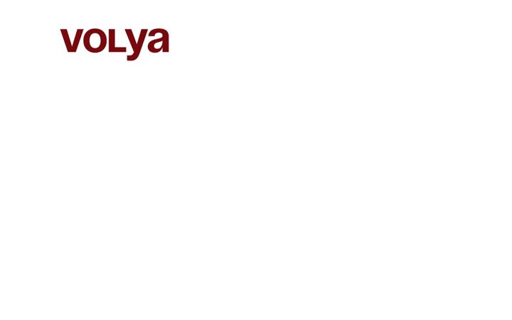 Screenshot ta' volyagency.pro