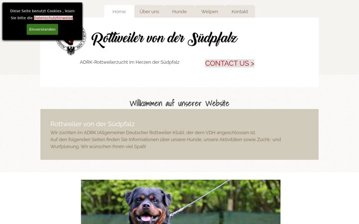 Screenshot of vondersuedpfalz.de