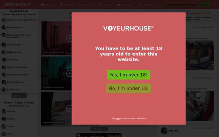 Screenshot of voyeurhouse.com
