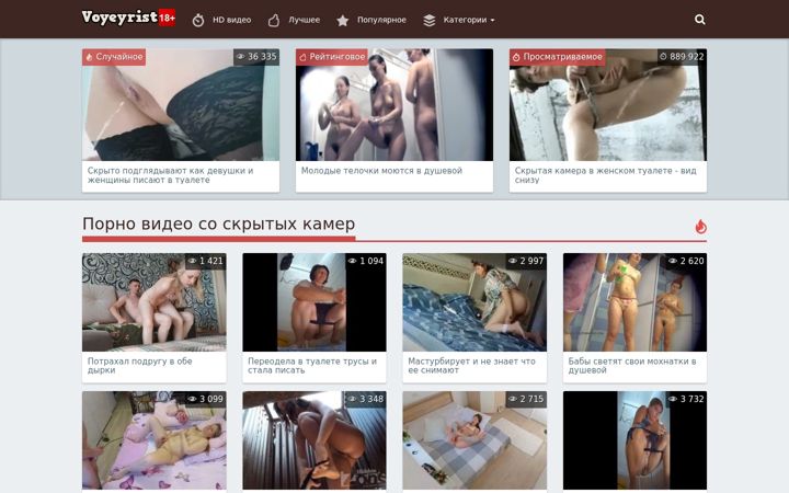 Screenshot of voyeyrist.com