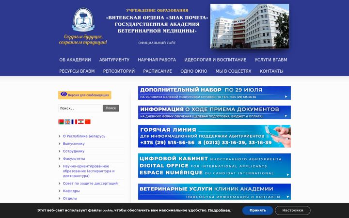 Screenshot of vsavm.by
