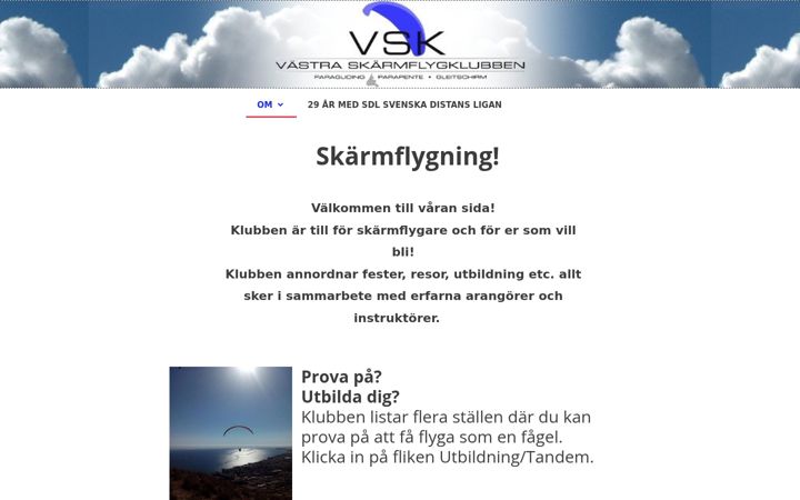 Screenshot of vsk.info